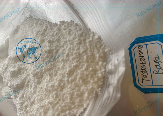 PORCELANA Testosterona en Polvo Esteroides Testosterona Base (Inyección de Suspensión) proveedor