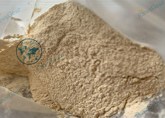 PORCELANA 99%+ Pureza Antiestrógenos Esteroides Clomiphene citrato en polvo Ciclo de clomida proveedor