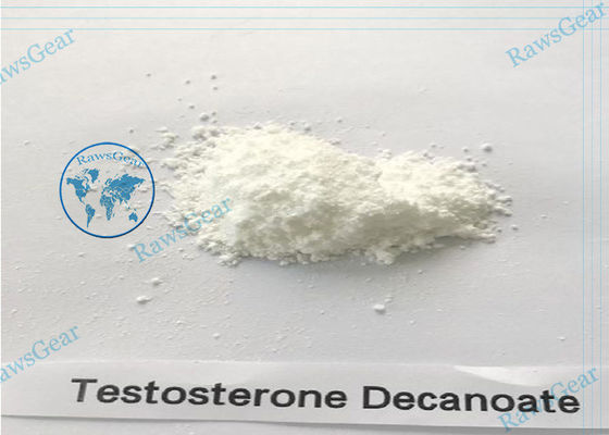 Hormona esteroide anabólica en polvo Decanoato de testosterona CAS 5721-91-5 proveedor