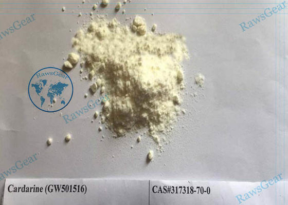 Legit Safe Sarms Raw Powder GW501516 Cardarine CAS 317318-70-0 También puede utilizarse para la preparación de otros SARM. proveedor