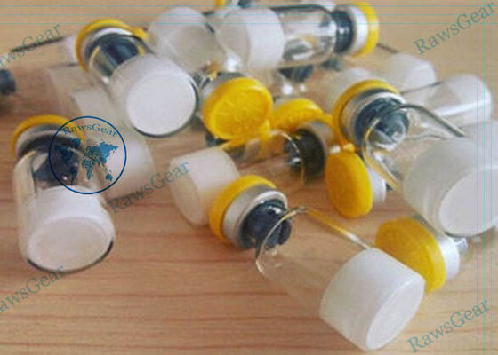 Péptido del Factor de Diferenciación del Crecimiento 8, 98% de pureza, GDF-8 1MG / VIAL proveedor