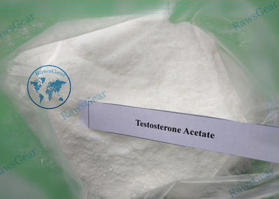Hormona esteroide anabólica en polvo 99% Acetato de testosterona CAS 1045-69-8 proveedor