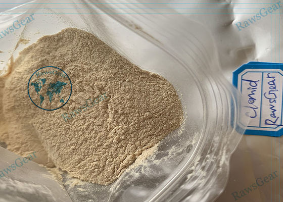 99%+ Pureza Antiestrógenos Esteroides Clomiphene citrato en polvo Ciclo de clomida proveedor