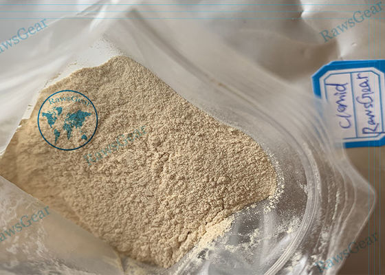 99%+ Pureza Antiestrógenos Esteroides Clomiphene citrato en polvo Ciclo de clomida proveedor