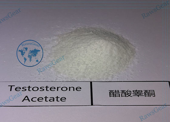 Esteroides orales de testosterona 4-Clorotestosterona Acetato / Acetato de Clostebol en polvo proveedor